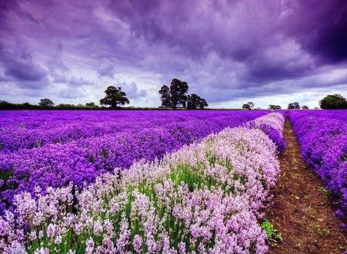 保持正念活在当下_正念生活带给我不一样的觉察