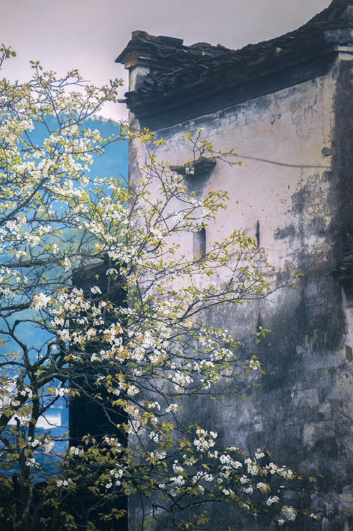 ����˵˵��������½�����