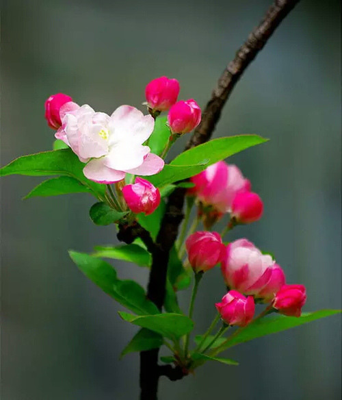 ����˵˵��������½�����