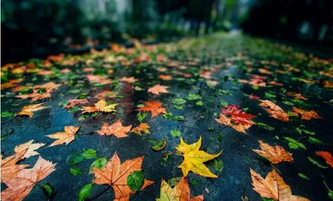 �����ǳɱ����ȴ�����Ͷ��