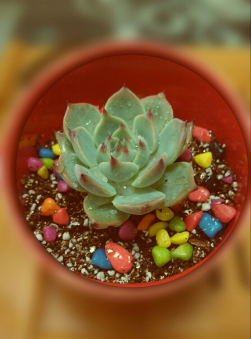 ��δ���㽵�˵˵:����̫������,����̹Ȼ�������