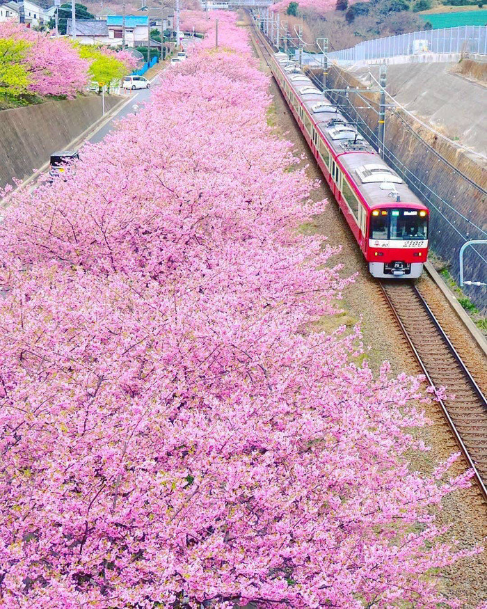 �������ͺܿ�_���¹��ڼ��