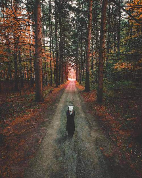 �ѻ�����Ϊʲô����ϲ���ϱ���|һ���ı��˵��������