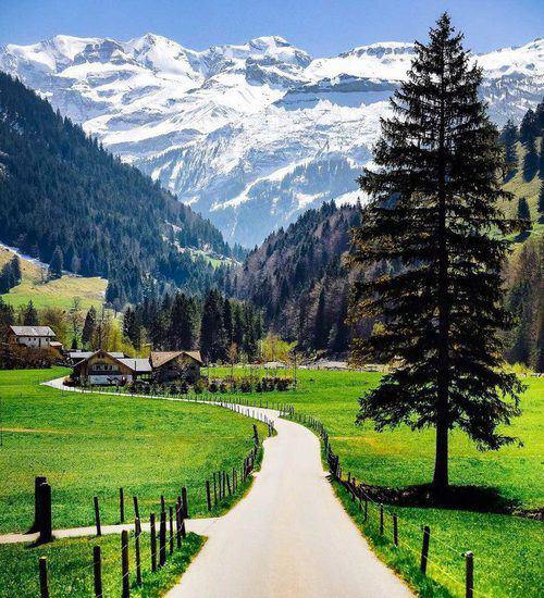 在遇见你之前,去拥抱一整个夏天的风