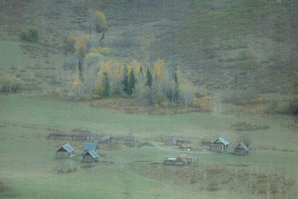 夜色中的小城散文|苏小满的悲惨