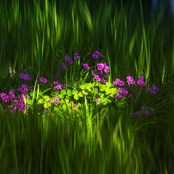 做你的靠山_有钱才是最硬的底气