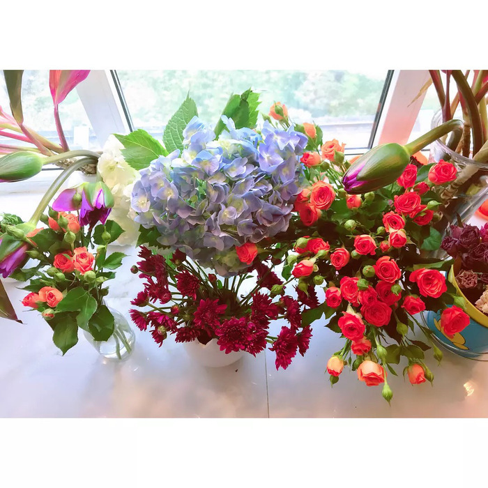 幼时记趣:风儿你要轻轻的吹