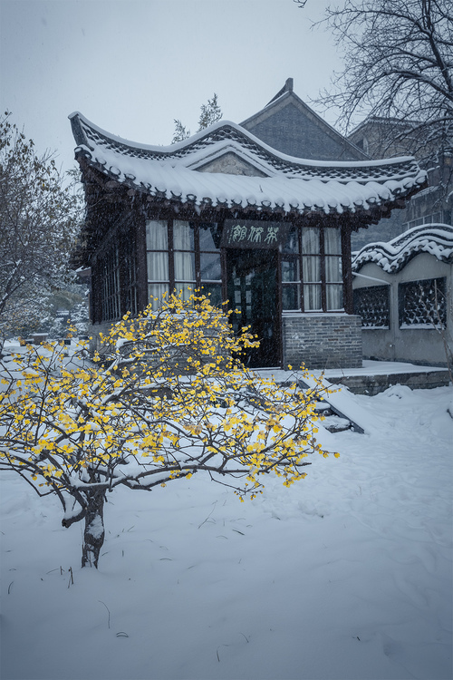 和中年女人做了一晚上\老李 萧雅