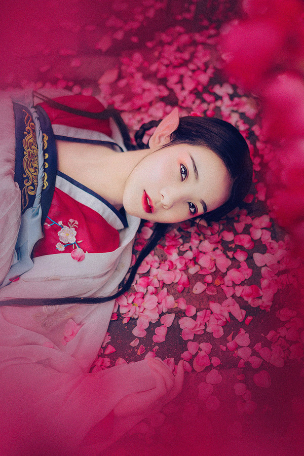 乡村原野_蒲公英自由自在到处飞