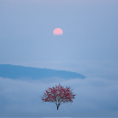 血腥诡异微故事|工地上的棺材