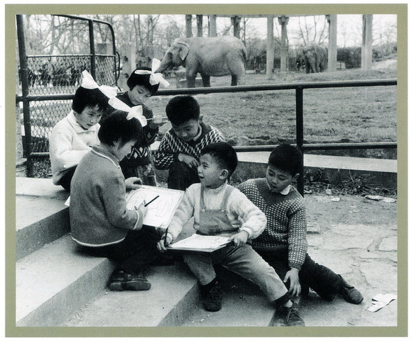 追寻爱的足迹:“造福儿童,缔造未来”爱是需要专业支撑的