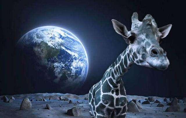 如果真的有外星人,那么他们在哪?科学家们怎么解释的