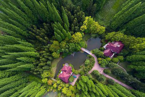美95名专家致信特朗普:合作是中美唯一的正确选择,合则两利,斗则俱伤