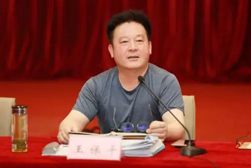 落马整整6个月后,湖北“保护伞”王保平被双开