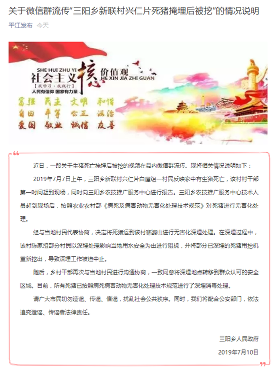 三阳乡新联村兴仁片:所有死猪进行了深埋消毒处理