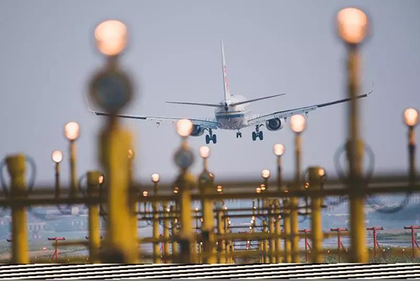 活力上海”不是空洞概念,而是鲜活事实