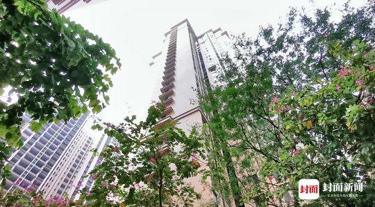10岁娃关窗户从23楼掉下:已过质保2年由业主负责