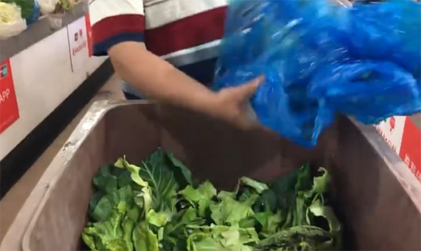 湿垃圾处理器,每天可以处理500多千克的果蔬类垃圾