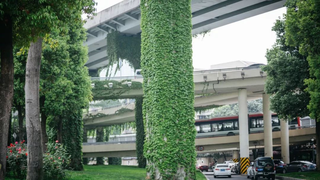 忆成都:桥下成都,凝固了这座城市千年的厚重