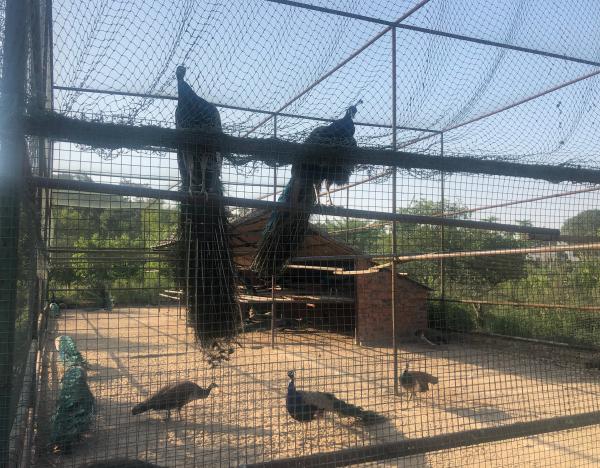 阴森、诡异的古床博物馆:是博物馆还是酒店