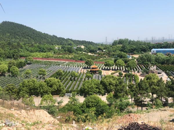 阴森、诡异的古床博物馆:是博物馆还是酒店