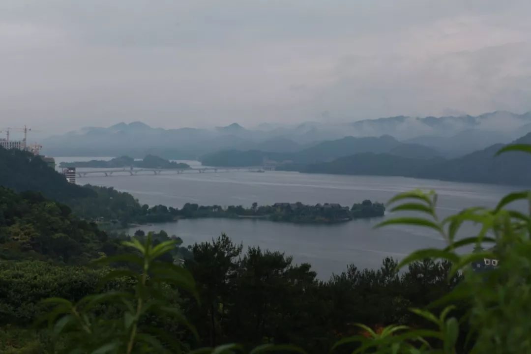 千岛湖带走子欣的租客:两个想死的人