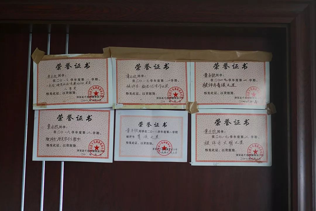 千岛湖带走子欣的租客:两个想死的人