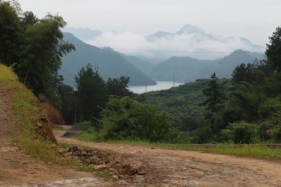 千岛湖带走子欣的租客:两个想死的人