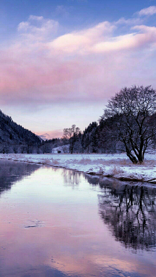 懂得奉献,这是一种美丽的补偿