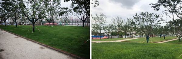 “相遇”上海城市空间艺术季:源自河流的艺术