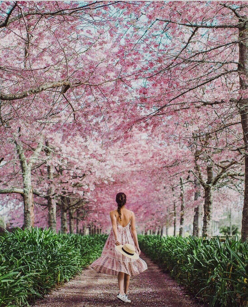 我把大姑娘开了苞,_小说 国产三级农村妇女系列