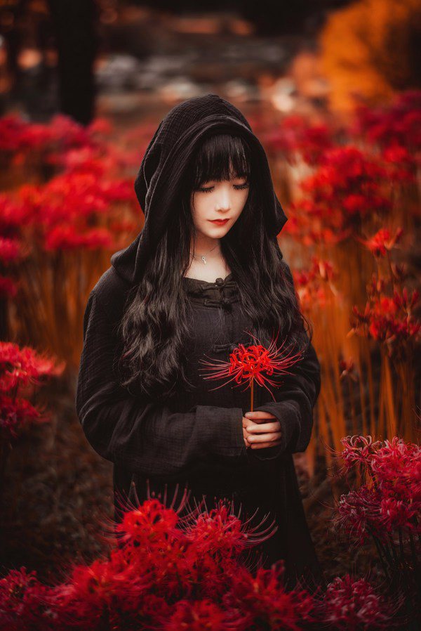 完美女婿完整版&李语嫣最新章节