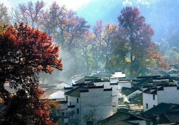 终身悔恨_大宝的意外