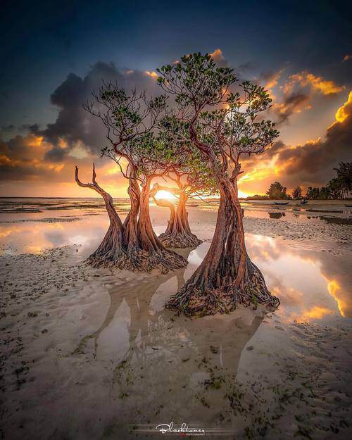 情爱原就是天定,若是缘分尽了又能奈何