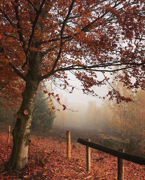 爱情来的总是莫名其妙_我成了离婚的第三者