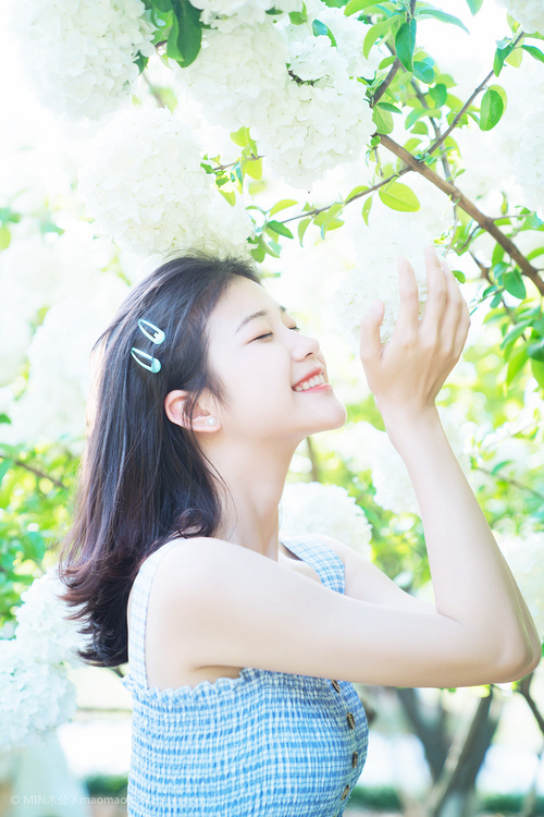 织纹螺|风筝求爱